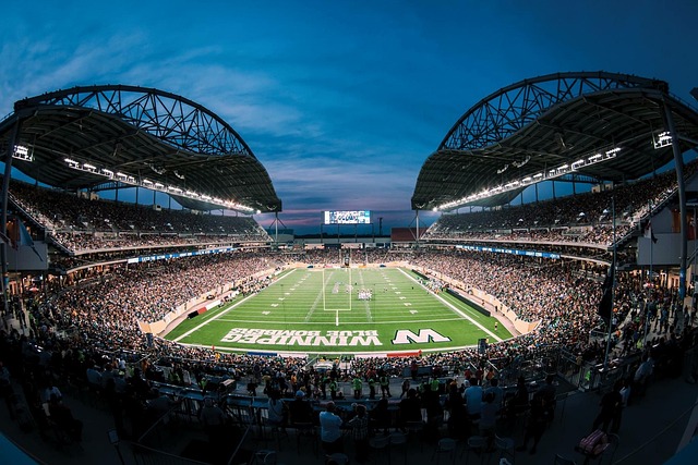 斯个人荣誉 斯个人荣誉