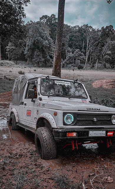 选手迅速崛 选手迅速崛