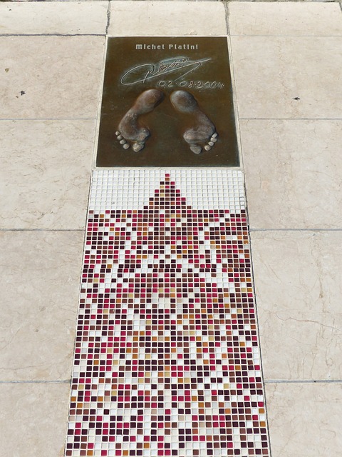 虽然日本队 虽然日本队